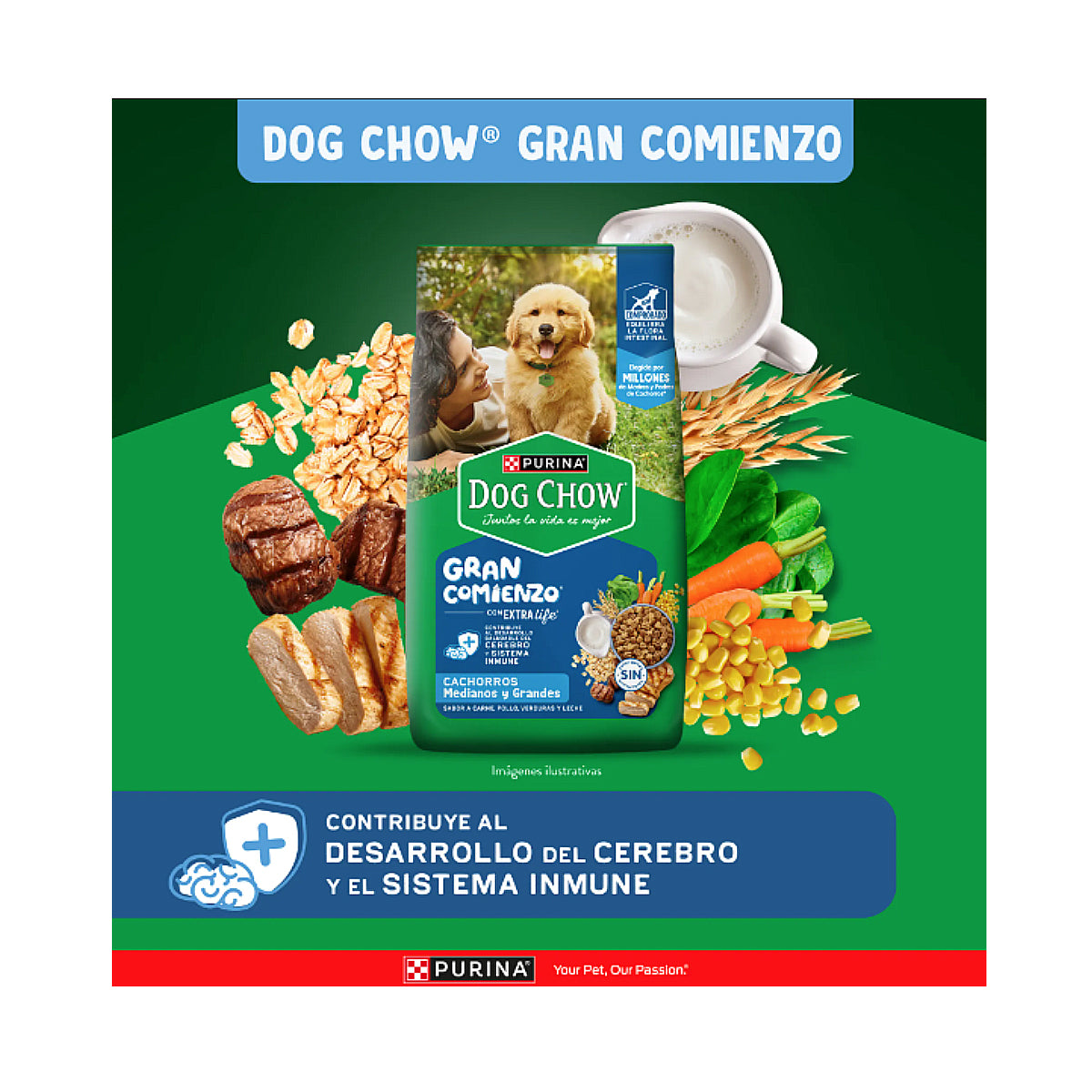 Alimento para Cachorro Razas Medianas y Grandes Purina Dog Chow 7.5 kg