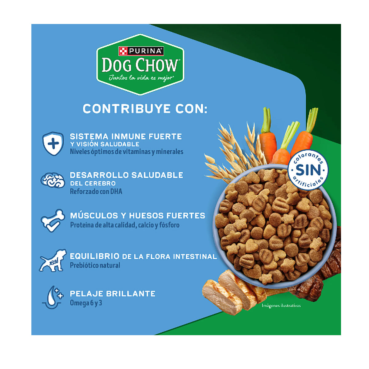 Alimento para Cachorro Razas Medianas y Grandes Purina Dog Chow 7.5 kg