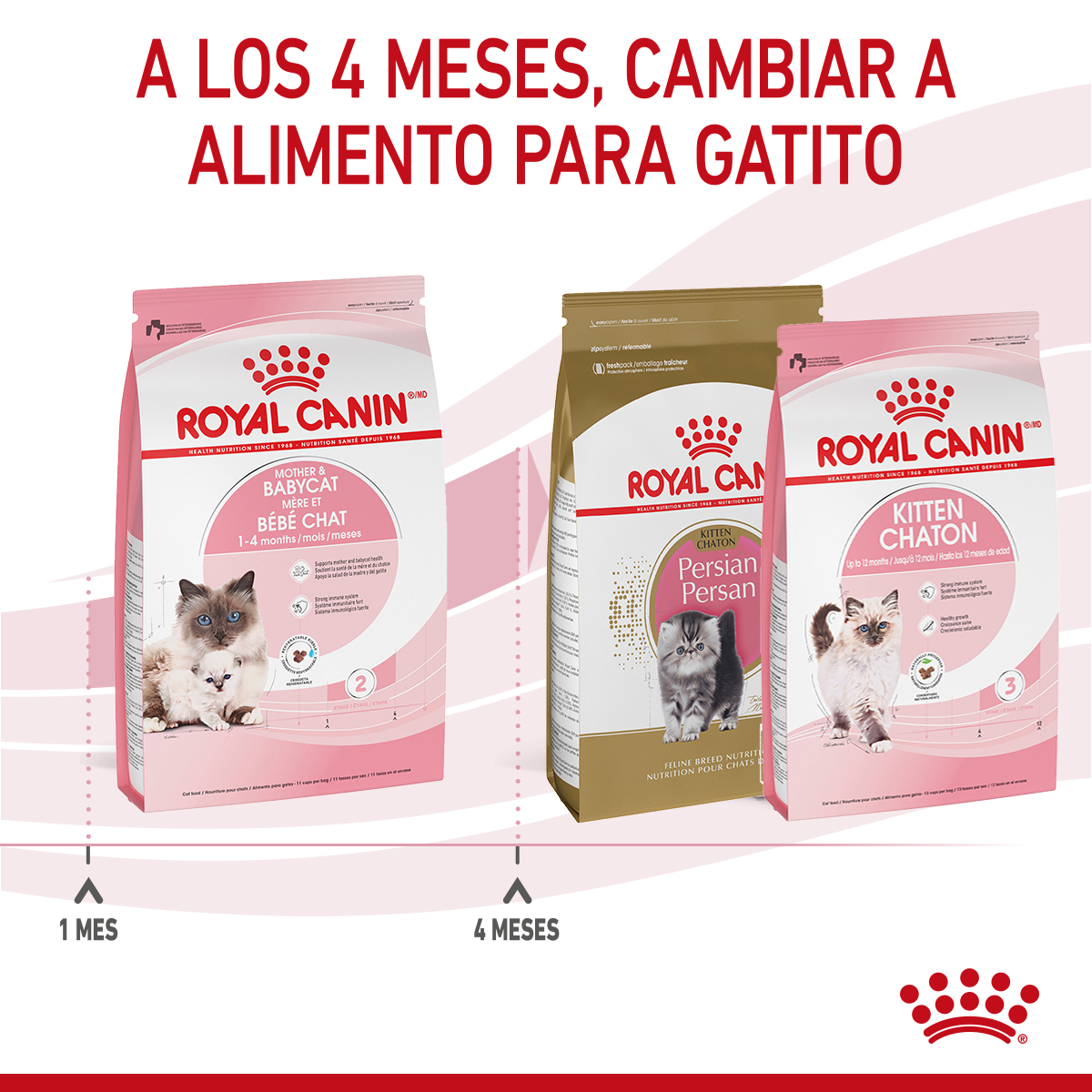 Alimento para Gatito y Gata Gestante o Lactante (Mother & Babycat) Royal Canin SPT