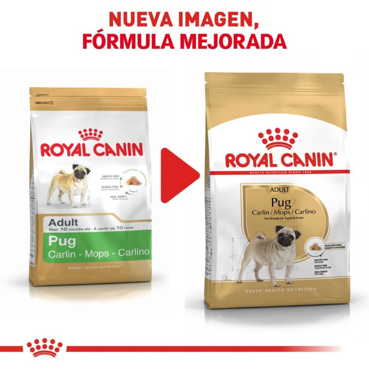 Alimento para Perro Royal Canin BHN Pug 25