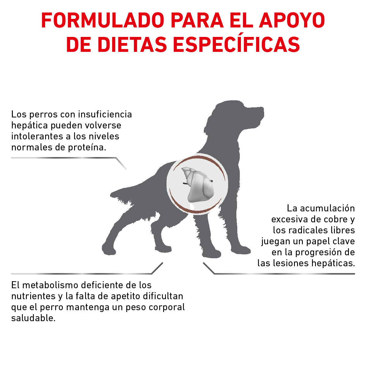 Alimento para Perro Adulto Enfermedad Hepática Royal Canin VET Hepatic