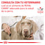 Alimento para Perro Adulto Royal Canin VET Advanced Mobility