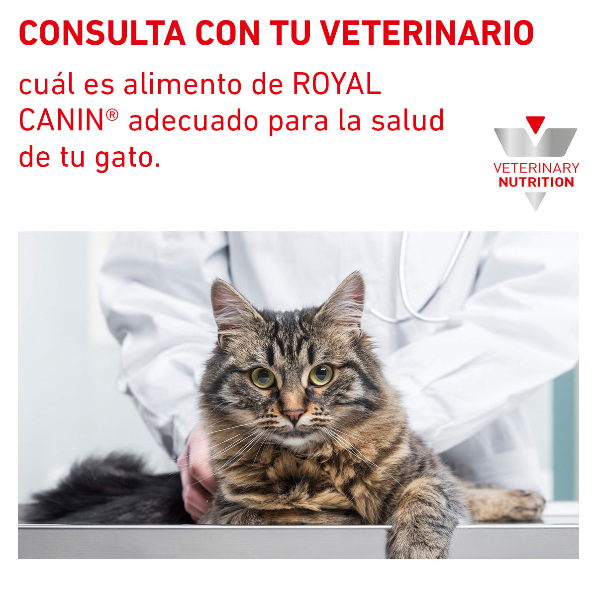 Alimento en Lata para Gato Adulto Gastrointestinal Royal Canin VET Gastro-Intestinal HE Felino
