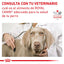 Alimento en Lata Enfermedad Urinaria Royal Canin VET Urinary SO