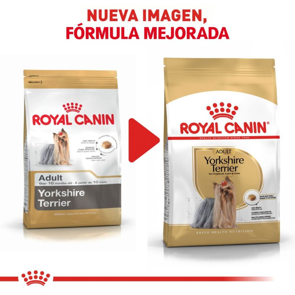 Alimento para Perro Adulto Yorkshire Terrier Royal Canin SPT