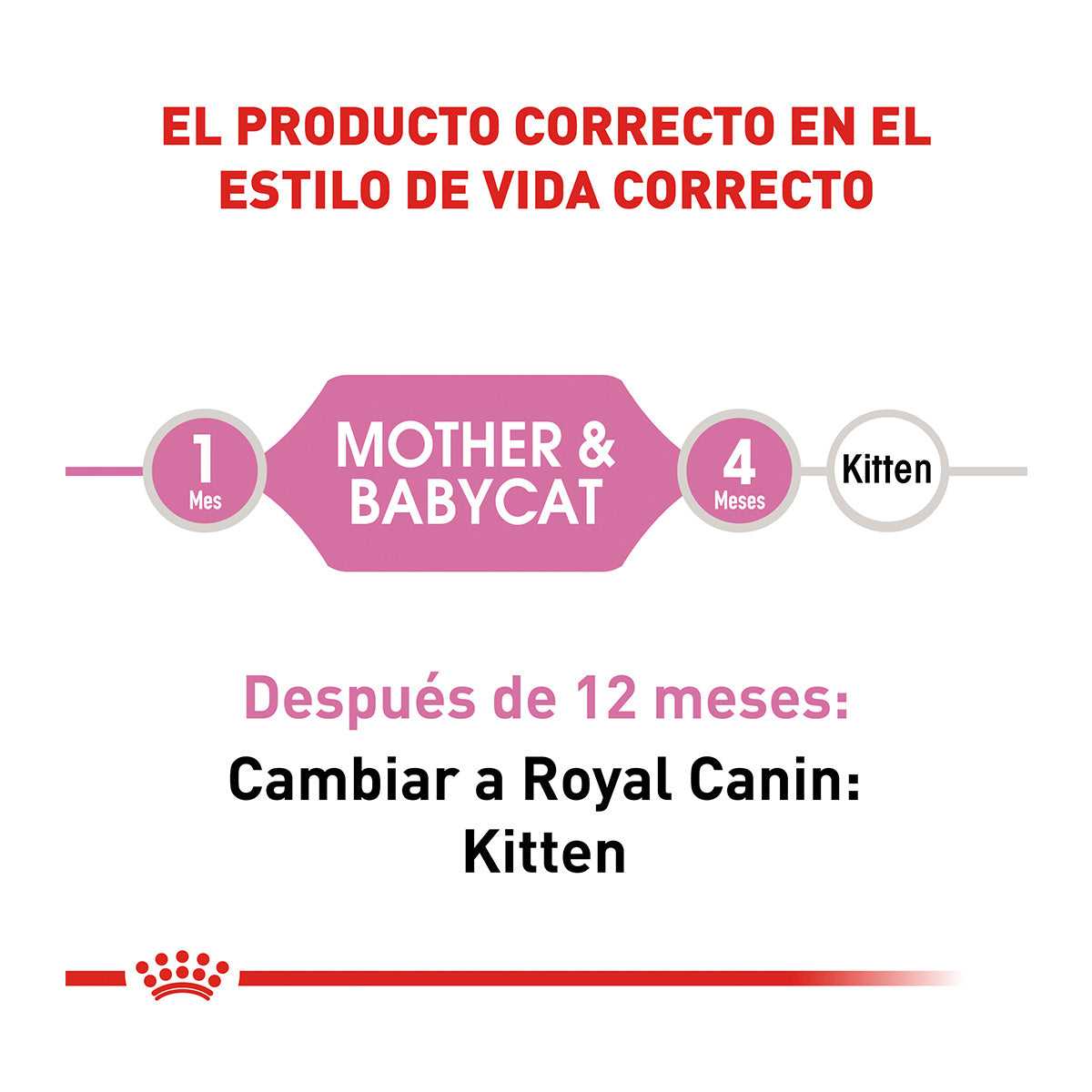 Alimento para Gata Gestante o Lactante y Gatito Mother Babycat Royal Canin SPT baby cat