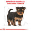 Alimento para Perro Royal Canin BHN Yorkshire Puppy 29