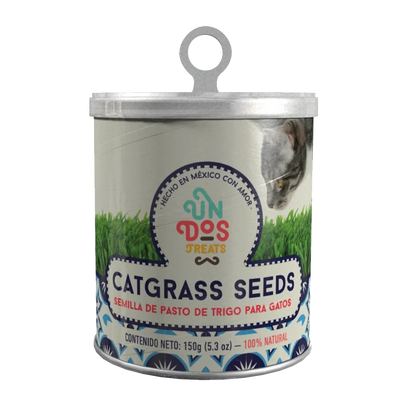 Catgrass Seeds Semillas de pasto de trigo para Gatos Un Dos Treats