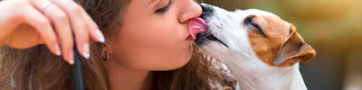 ¿Es malo besar a tu perro?