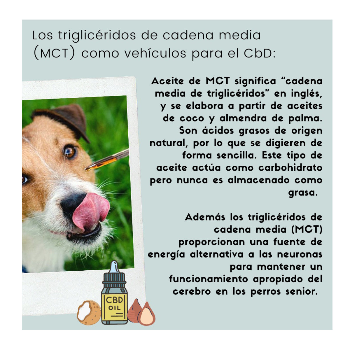 Aceite para Perro Raza Pequeña y Mediana 8.3 mg/ml (250 mg en 30 ml) Dogift