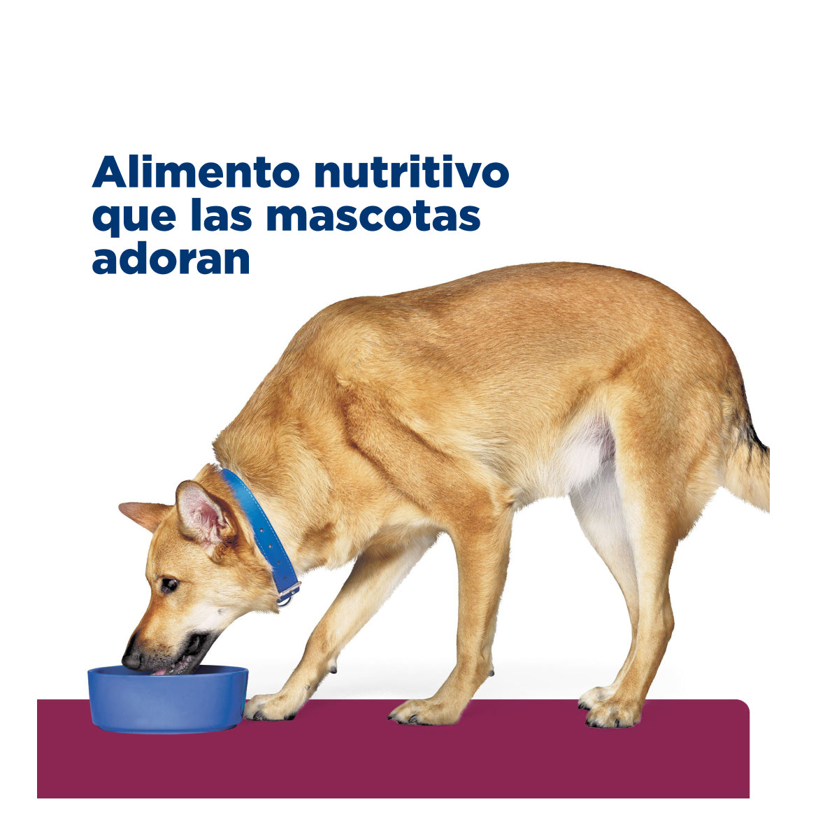 Alimento Húmedo en Lata para Perro Adulto i/d Pavo Hill's Prescription Diet 370 g (Individual)