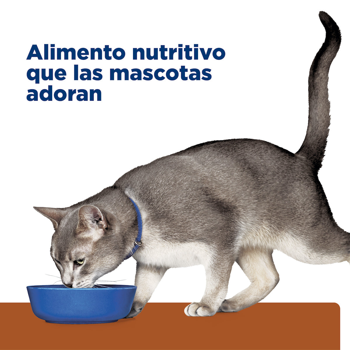 Alimento Húmedo en Lata para Gato Adulto k/d Cuidado Renal Hill's Prescription Diet 156 g (Individual)