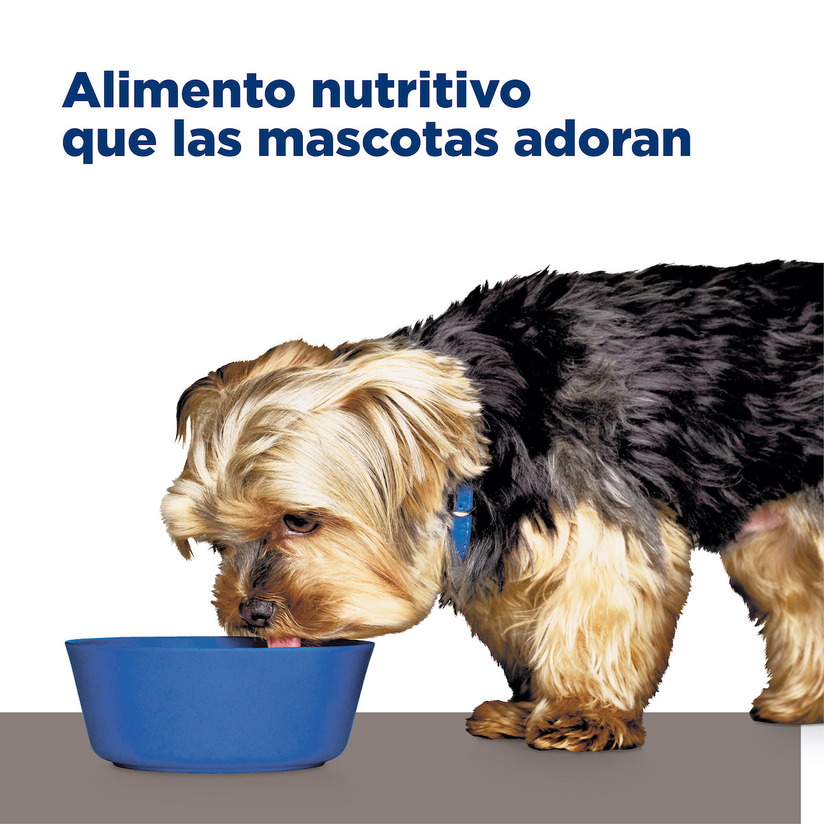 Alimento Húmedo en Lata para Perro Adulto Lata  l/d Hill's Prescription Diet 370 g (Individual)
