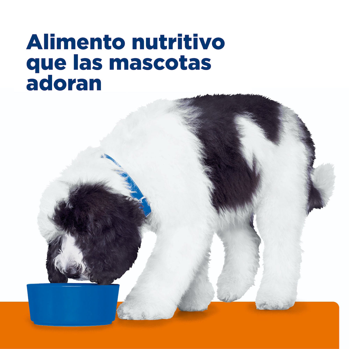 Alimento Húmedo en Lata para Perro Adulto c/d Hill's Prescription Diet 370 g (Individual)