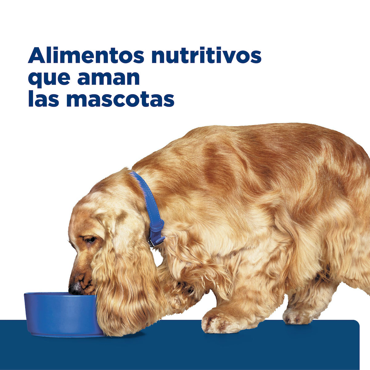 Alimento Húmedo en Lata para Perro Adulto z/d Ultra Hill's Prescription Diet 370 g (Individual)