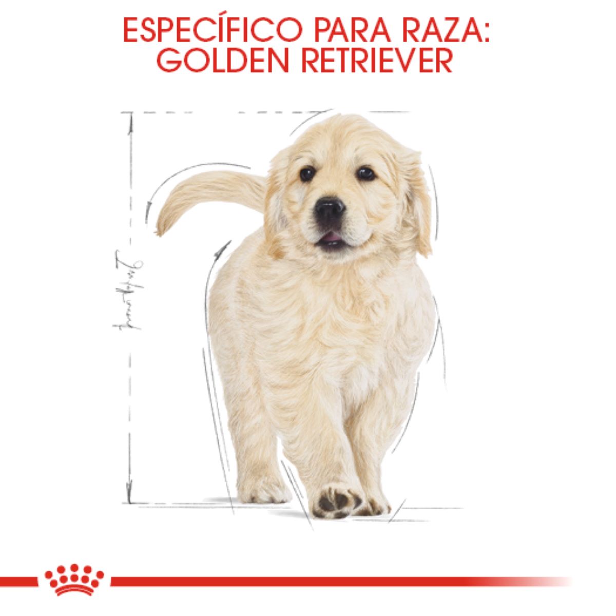 Alimento para Cachorro Golden Retriever Royal Canin SPT 13.6 kg