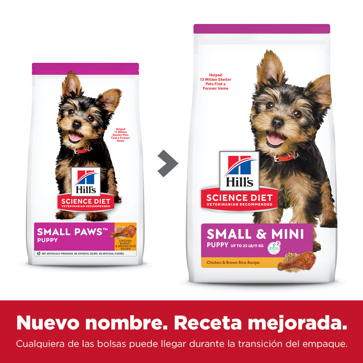 Alimento para Cachorro Razas Pequeñas y Miniatura Small & Mini Puppy Hill's Science Diet
