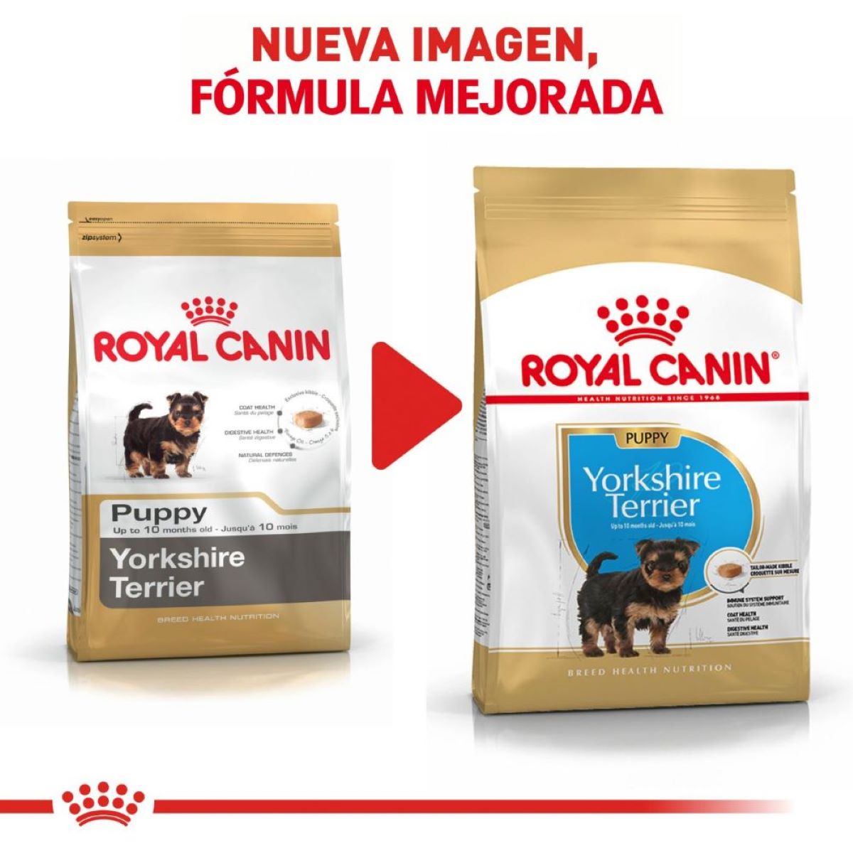 Alimento para Cachorro Yorkshire Terrier  Royal Canin SPT 1.0 kg