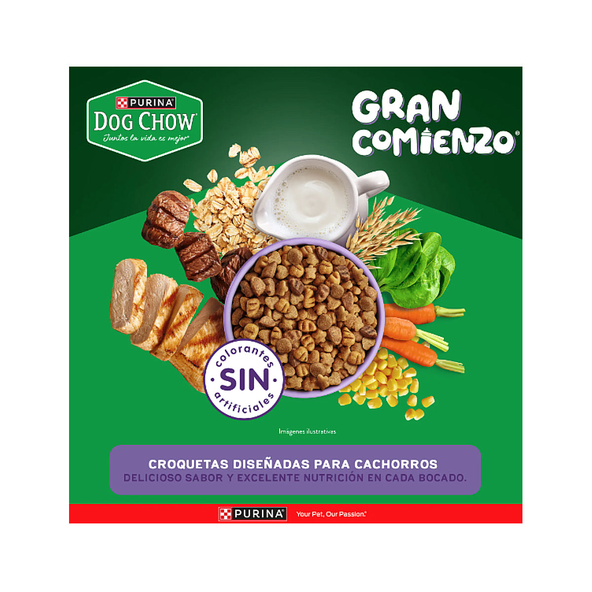 Alimento para Cachorros Minis y Pequeños Purina Dog Chow