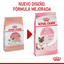 Alimento para Gata Gestante o Lactante y Gatito (Mother & Babycat) Royal Canin SPT