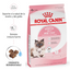 Alimento para Gata Gestante o Lactante y Gatito (Mother & Babycat) Royal Canin SPT