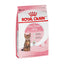 Alimento para Gatito Esterilizado (Kitten Spayed) Royal Canin SPT
