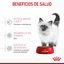Alimento para Gatito (Kitten) Royal Canin SPT