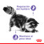 Alimento para Gato Adulto Control de Apetito (Spayed Neutered) Royal Canin SPT