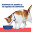 Alimento enlatado para Gato Onc Care Nutrición y Apoyo de Recuperación Hill's Prescription Diet (Individual)