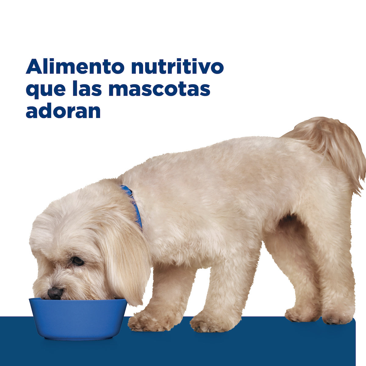 Alimento para Perro Adulto Razas Pequeñas z/d Sensibilidades Alimentarias Small Bites Hill's Prescription Diet