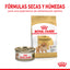 Alimento para Perro Pomeranian Adulto Royal Canin SPT