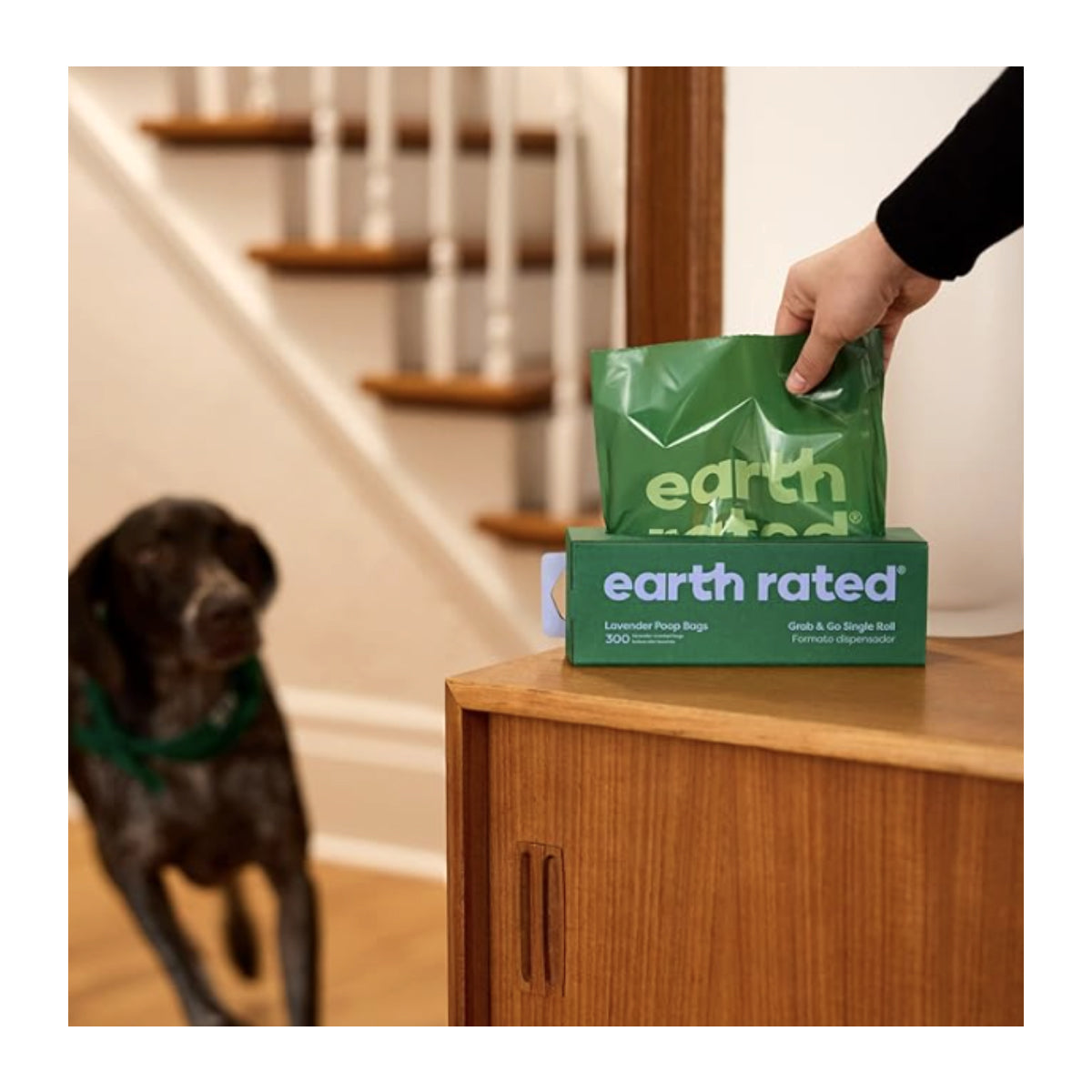 Caja con bolsas biodegradables y compostables para heces de perro Earth Rated PoopBags