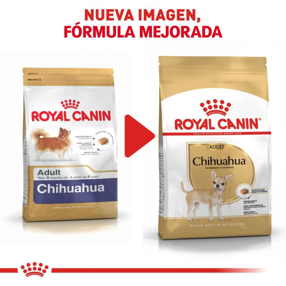 Alimento para Perro Adulto Chihuahua Royal Canin SPT