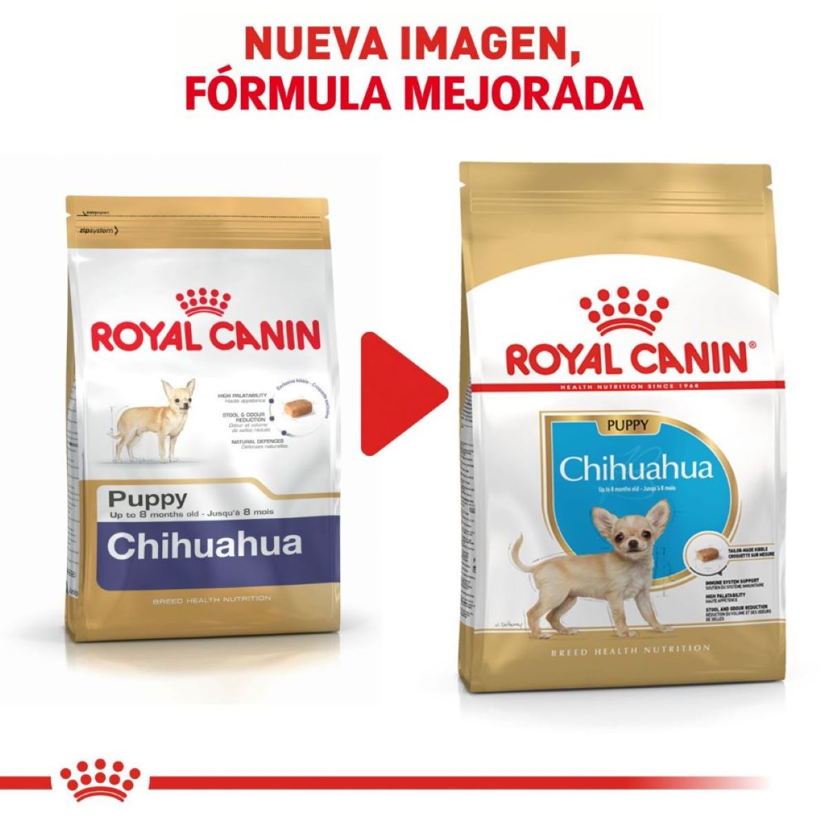 Alimento para Cachorro Chihuahua  Royal Canin SPT 1.13 kg