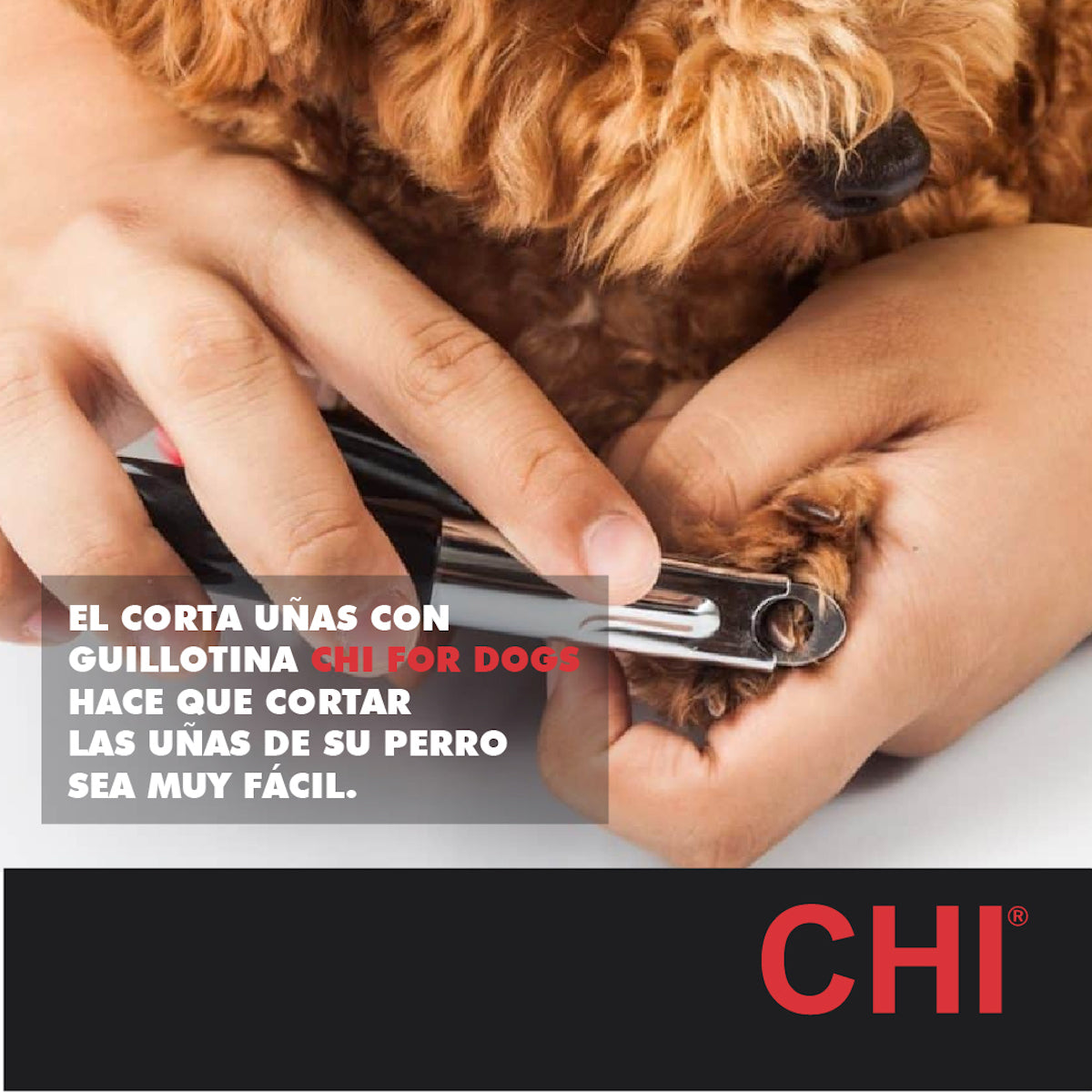 Corta Uñas para Perro Tipo Guillotina con Protector de Seguridad CHI for Dogs