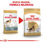 Alimento para Perro Adulto Pastor Aléman Royal Canin SPT 13.6 kg