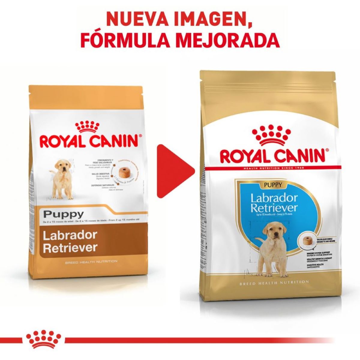 Alimento para Cachorro Labrador  Royal Canin SPT 13.6 kg