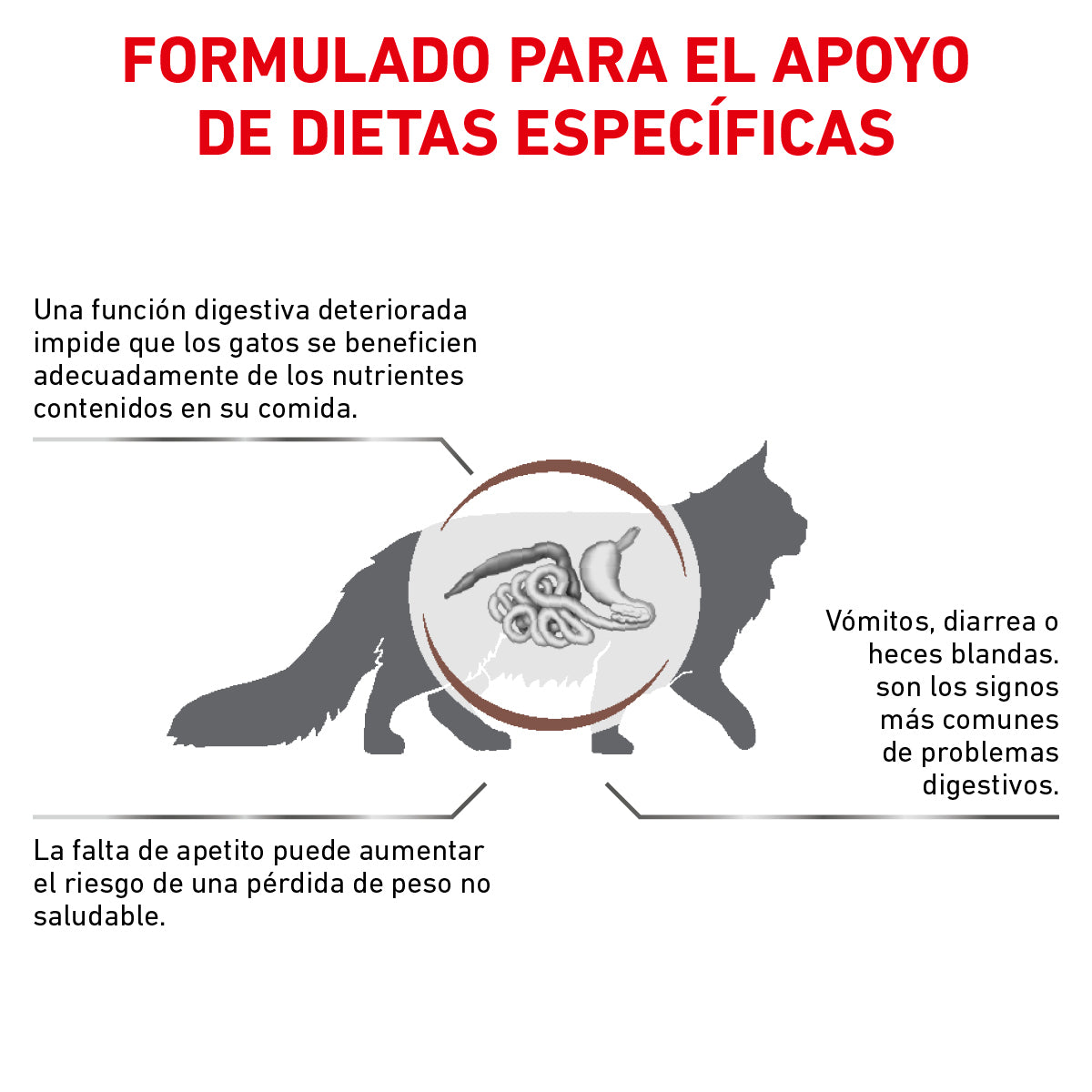 Alimento para Gato Adulto Gastrointestinal Royal Canin VET Gastro Intestinal