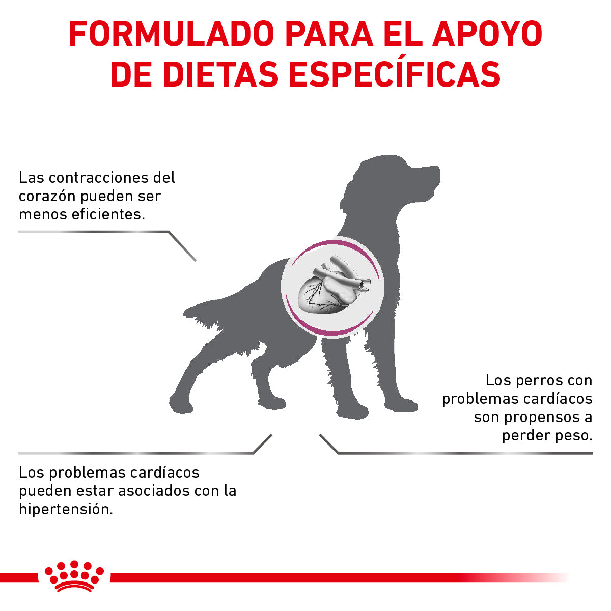 Alimento para Perro Adulto Enfermedad Cardiaca Royal Canin VET Early Cardiac