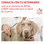 Alimento para Perro Adulto Gastrointestinal Alto en Energía Royal Canin VET Gastrointestinal High Energy