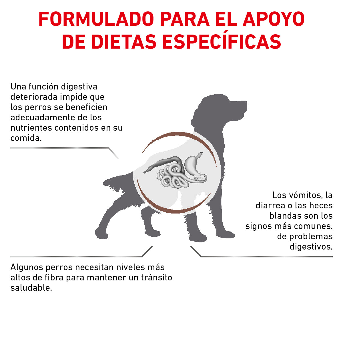 Alimento para Perro Adulto Gastrointestinal Enfermedad Fibroresponsable Royal Canin VET Gastro Intestinal Fiber Response