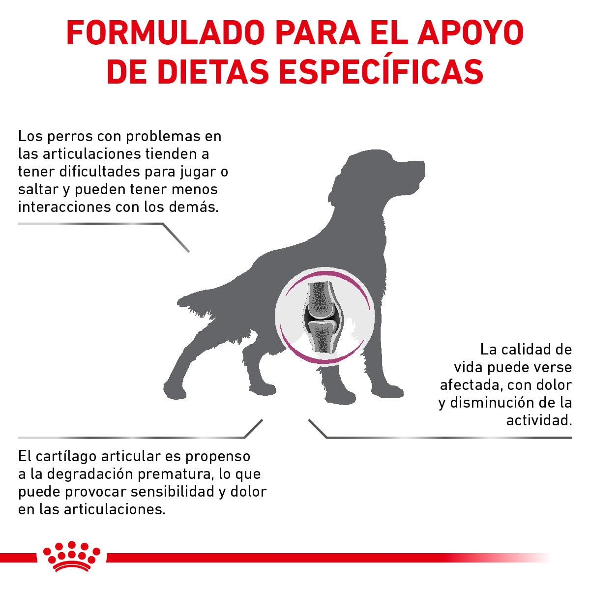 Alimento para Perro Adulto Royal Canin VET Advanced Mobility