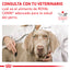 Alimento para Perro Adulto Enfermedad Renal Royal Canin VET Renal Support S