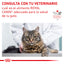 Alimento en Lata para Gato Adulto Enfermedad Renal E Royal Canin VET Renal Support E Felino