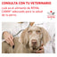 Alimento en Lata para Perro Adulto Royal Canin VET Hepatic