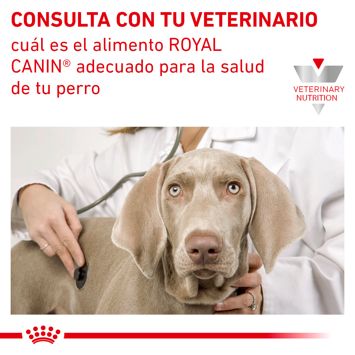 Alimento en Lata para Perro Adulto Saciedad Royal Canin VET Satiety Support