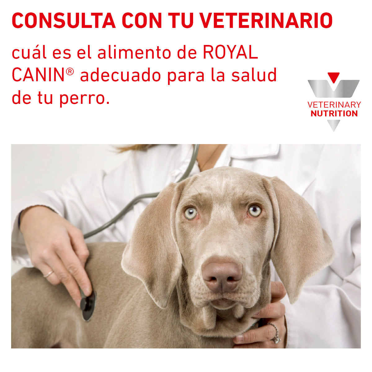 Alimento en Lata para Perro y Gato Adulto Recuperación Royal Canin VET Recovery RS