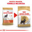Alimento para Perro Royal Canin BHN Miniature Schnauzer 25