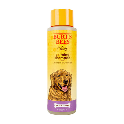 Shampoo Natural Calmante para Perro con Piel Seca Lavanda y Té Verde Burt's Bees