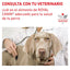 Alimento para Perro Adulto Razas Medianas y Grandes Piel Sensible Royal Canin VET Skintopic Adult